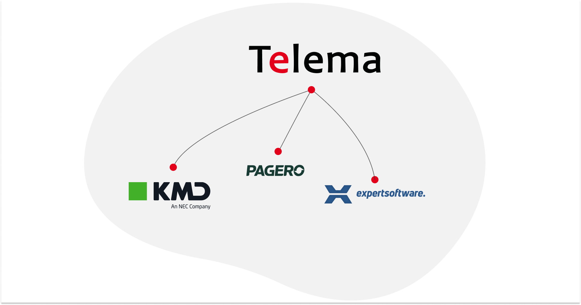 Telema EDI tarptinklinis ryšys dabar apima KMD, Pagero ir Expert Software
